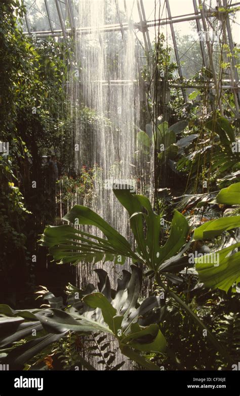 USA Houston Texas Cockrell Butterfly Center Houston Museum of Natural Science Butterfly Hall ...