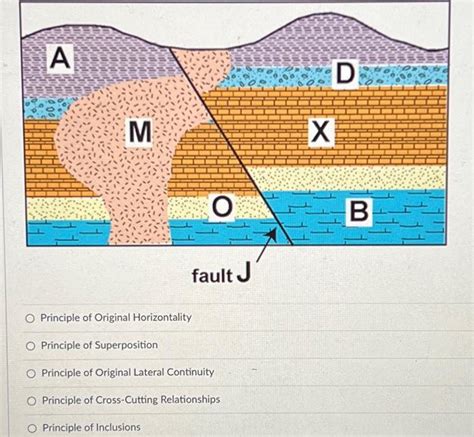 Solved A M O fault J O Principle of Original Horizontality O | Chegg.com