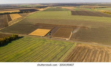 3,679 Sunflower Harvest Photos Stock Photos, Images & Photography ...