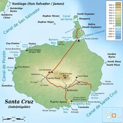 Things to See on the Galapagos Islands | USA Today