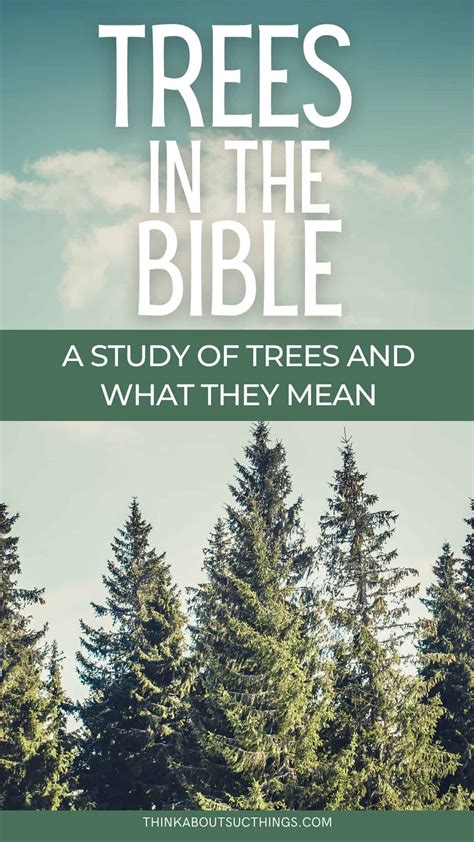 Trees In The Bible: Symbolism And Significance | Think About Such Things