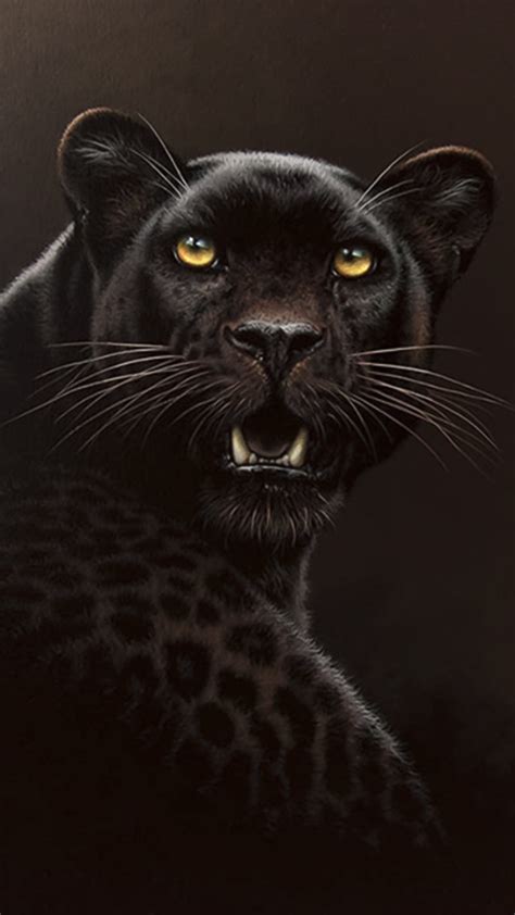 Black Cheetah Wallpapers - Wallpaper Cave