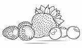 Strawberries Raspberries And Blueberries coloring Page  Free sketch template
