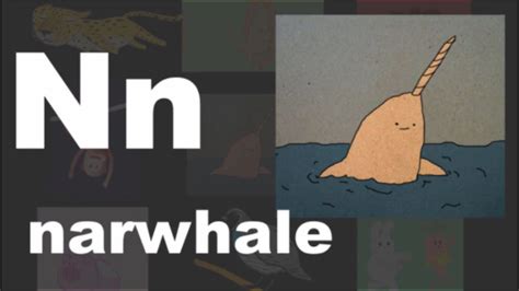 Phonics Song | N for Narwhal - what is a narwhal? | Kidzstation - YouTube