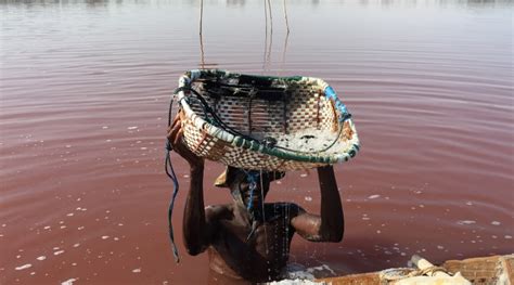 Lake Retba Senegal Pink Lake