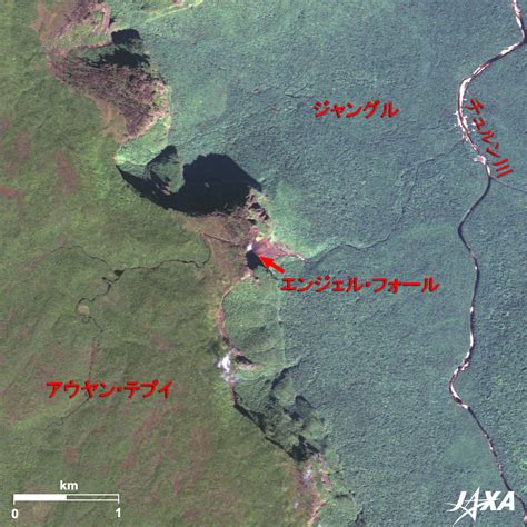 世界最大の落差を誇る滝、エンジェル・フォール | 地球が見える | JAXA 第一宇宙技術部門 地球観測研究センター（EORC）