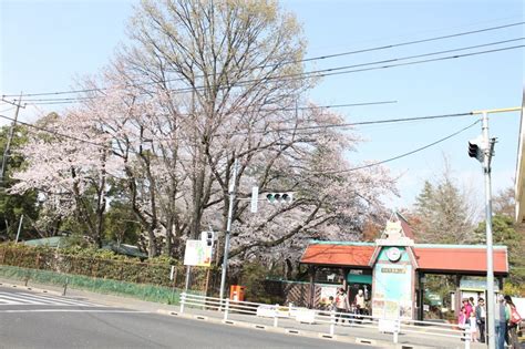 A Glimpse of Hamura City - Tokyo - Japan Travel