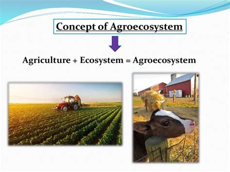 Agro ecosystem PPT (M.sc Zoology third semester)