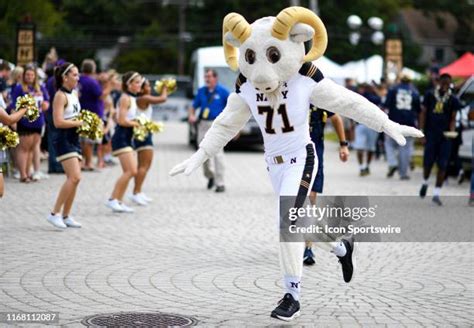 Navy Mascot Photos and Premium High Res Pictures - Getty Images