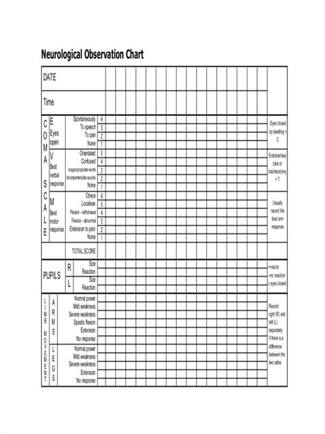 Medical Chart - 17+ Examples, Format, How to Create, Pdf