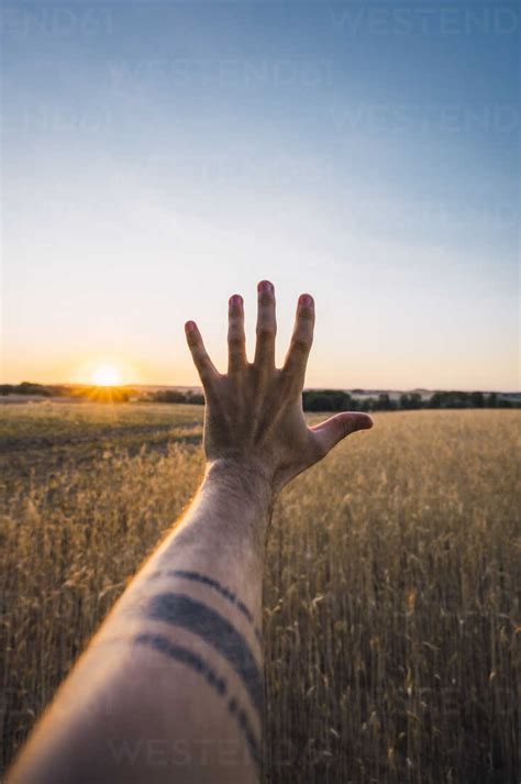 Man's hand reaching for evening sun stock photo