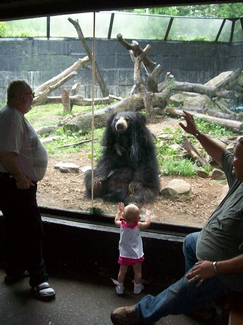 Akron Zoo | Akron zoo, Animals friends, Zoo