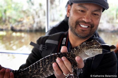 Alligator Hunting on a New Orleans Swamp Tour | New orleans swamp tour, Swamp tours, Louisiana swamp