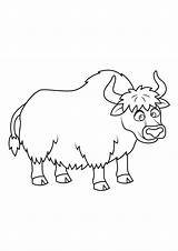 Yak Coloring Pages  ColoringDraftcom sketch template
