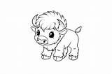 Baby Buffalo Coloring Page For Kids Graphic By Forhadx5 · Creative Fabrica sketch template