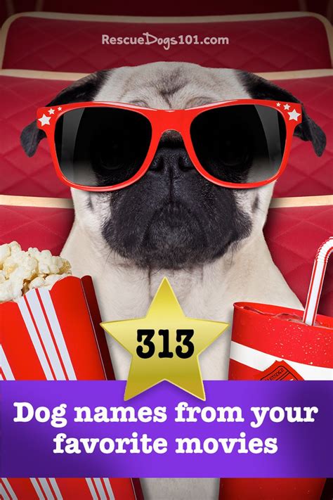 313 Dog names from movies and television (Disney included)