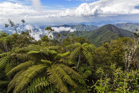 Cuba Mountains guide by local experts