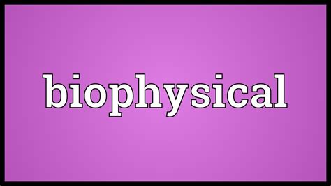 Biophysical Meaning - YouTube