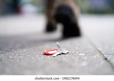 Woman Lost House Keys Walking On Stock Photo 1982178494 | Shutterstock