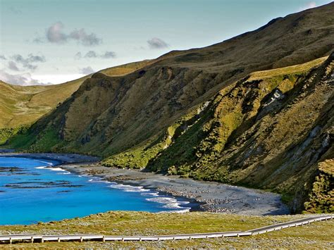 A Breath of Fresh Air: Magical Macquarie Island - Part III