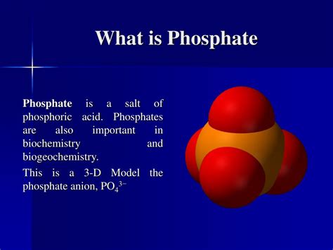 PPT - Phosphates PowerPoint Presentation, free download - ID:4872651