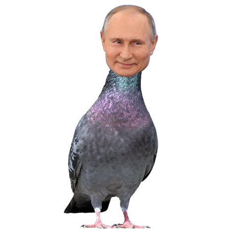 FUNNY PUTIN PIGEON Vladimir Putin as Pigeon Pootin Rude Poo - Etsy