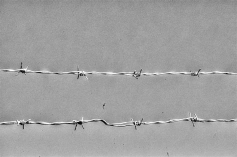 Barbed Wire Free Stock Photo - Public Domain Pictures