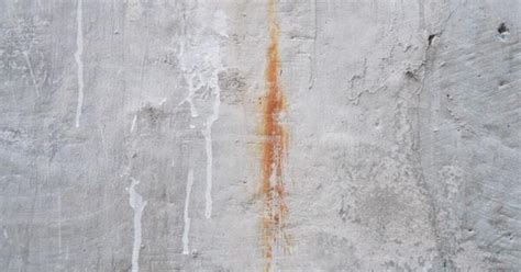 Wall Washing Tips: Stains on Painted Walls | Williams Painting