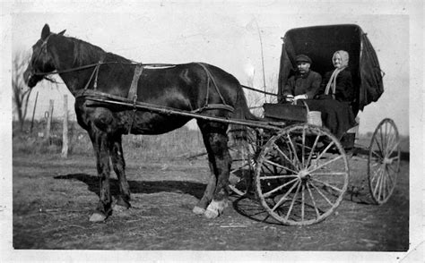 Horse and Buggy: One of the Common Transports Before 1900 ~ Vintage Everyday