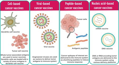 The Impact of mRNA Vaccines on Livestock Production: A Comprehensive Analysis - GVS HEALTH