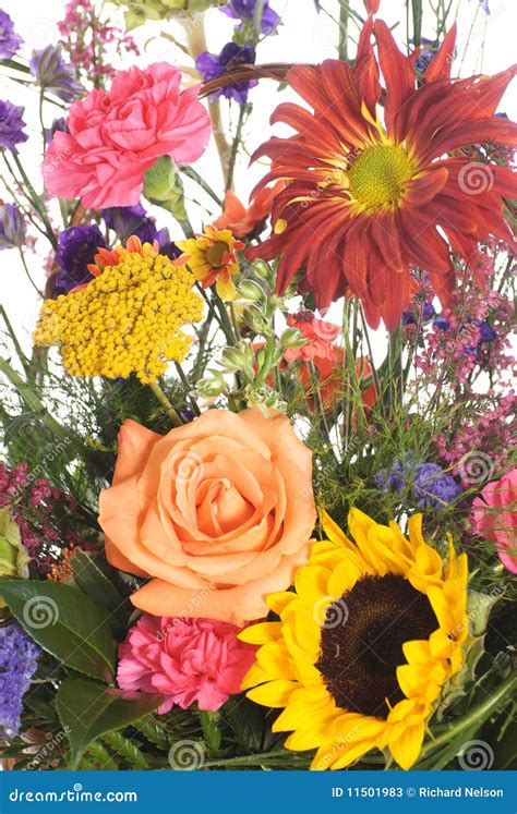 Bouquet of Assorted Flowers Stock Image - Image of isolation, closeup: 11501983