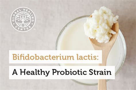 Bifidobacterium Lactis: A Healthy Probiotic Strain