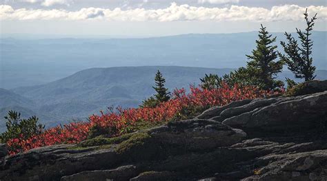 The Science Behind Grandfather Mountain’s Fall Leaf Season ...