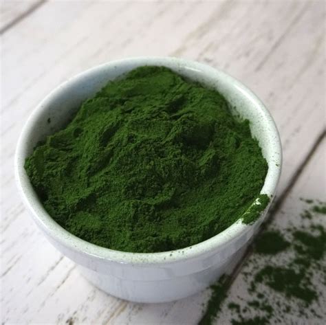 Algae Ingredients — Triton Algae Innovations