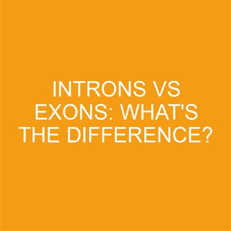 Introns Vs Exons: What's The Difference? » Differencess