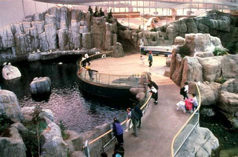 Montreal Biodome Is a Top City Attraction for Families