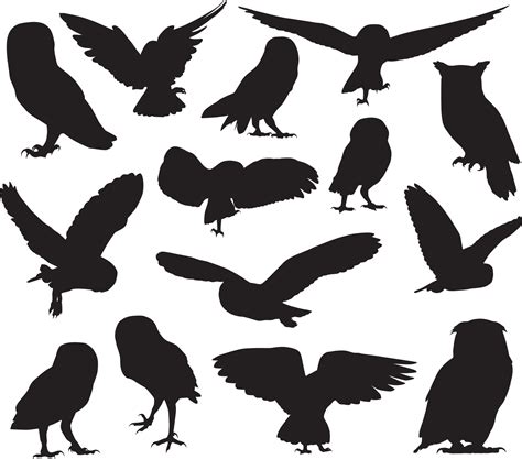 Owl silhouette set. Vector illustration 10756575 Vector Art at Vecteezy