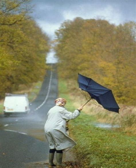 Pin by Ann Patenaude-Symington on wind inquiry | Blowin' in the wind, Walking in the rain, Wild ...