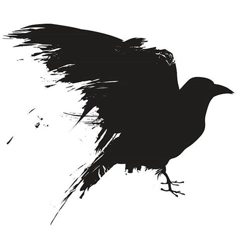 Royalty Free Raven Bird Clip Art, Vector Images & Illustrations - iStock