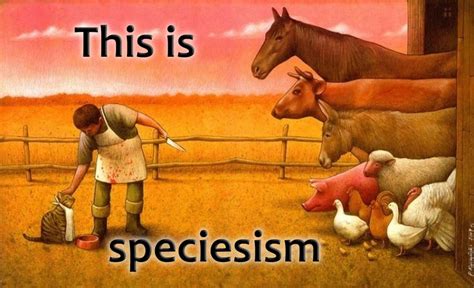 Don’t call me speciesist: hypocrisy of the animal rights movement ...