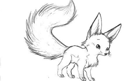 Cute Baby Fox Drawing at PaintingValley.com | Explore collection of ...