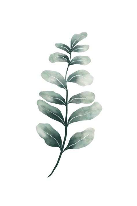 Green watercolor leaves 11660316 PNG