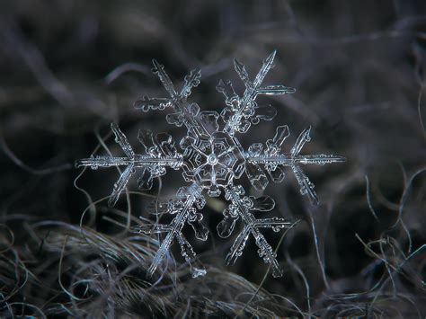 Snow flakes HD wallpaper | Wallpaper Flare