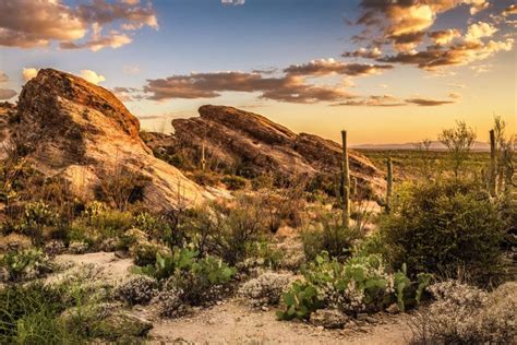 The Ultimate Saguaro National Park Outdoor Adventure Guide-Bearfoot ...