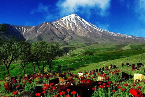 International Mountain Day: natural treasure must be protected - Tehran ...