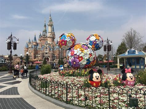 Activities, tours and things To Do at Shanghai Disneyland - Trip.Social