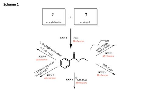 [Solved] Scheme 1 .9 .y + an acyl chloride an alcohol RXN 1 NEt3 ...