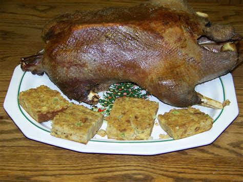 A traditional roasted swan on the Christmas platter. Swan, after feeding in North Carolina grain ...