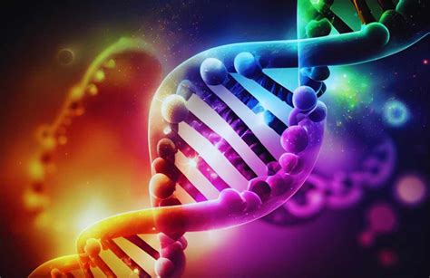 Genotype and Phenotype Examples! - Physiomed