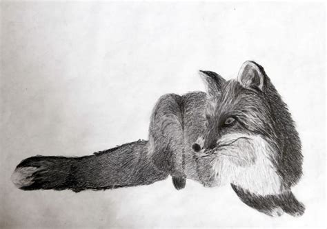 Student Art: Graphite Animals